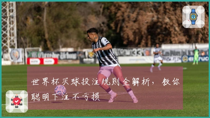 世界杯买球投注规则全解析，教你聪明下注不亏损