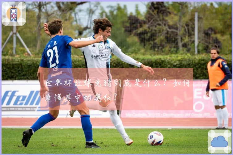 世界杯让球竞猜到底是什么？如何看懂其中的奥秘？