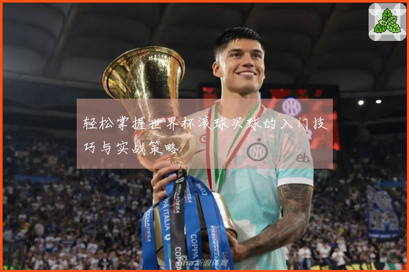 轻松掌握世界杯滚球买球的入门技巧与实战策略