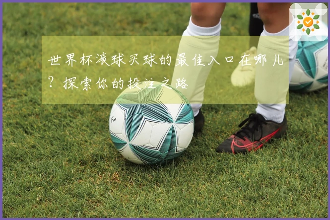 世界杯滚球买球的最佳入口在哪儿？探索你的投注之路