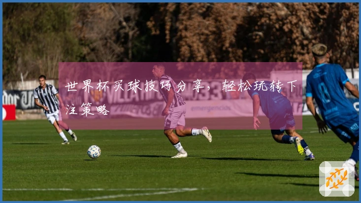 世界杯买球技巧分享，轻松玩转下注策略