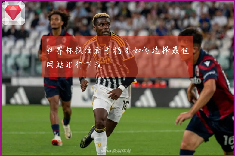 世界杯投注新手指南如何选择最佳网站进行下注