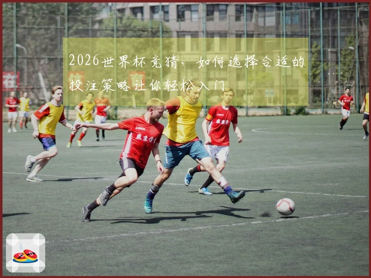 2026世界杯竞猜，如何选择合适的投注策略让你轻松入门