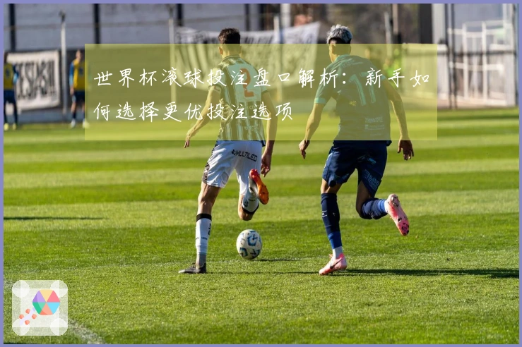 世界杯滚球投注盘口解析：新手如何选择更优投注选项