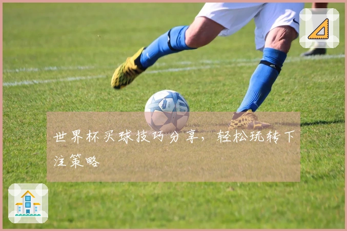 世界杯买球技巧分享，轻松玩转下注策略