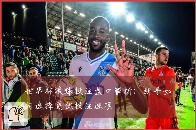 世界杯滚球投注盘口解析：新手如何选择更优投注选项