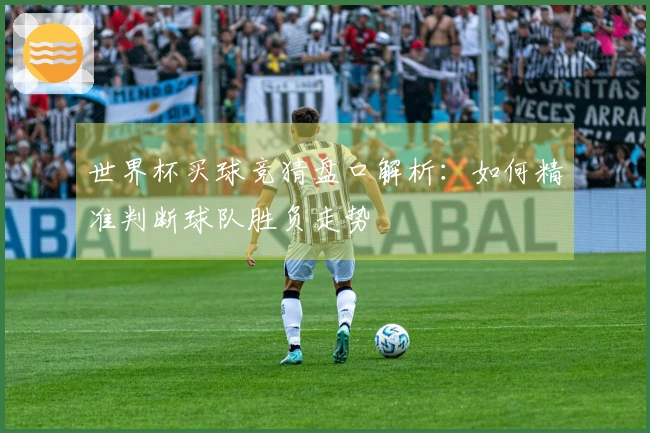 世界杯买球竞猜盘口解析：如何精准判断球队胜负走势