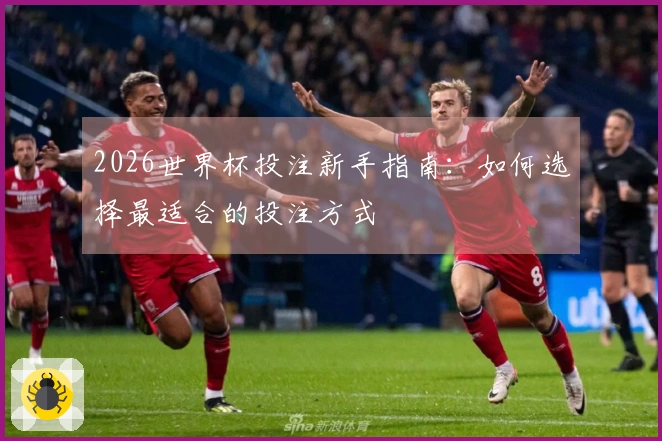 2026世界杯投注新手指南：如何选择最适合的投注方式
