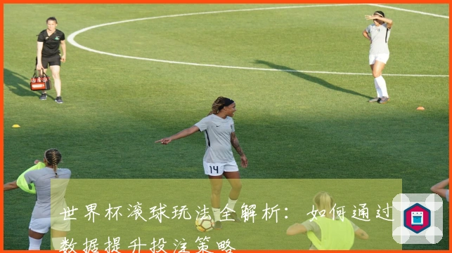 世界杯滚球玩法全解析：如何通过数据提升投注策略