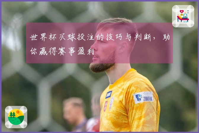 世界杯买球投注的技巧与判断，助你赢得赛事盈利