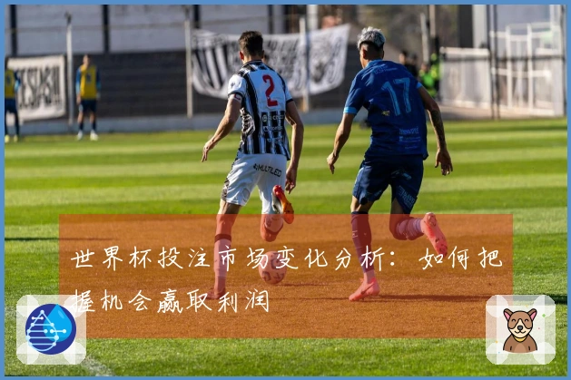 世界杯投注市场变化分析：如何把握机会赢取利润